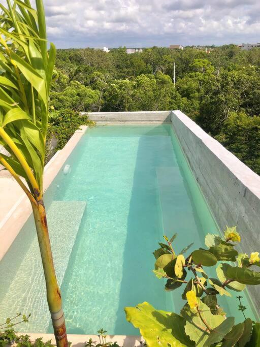 Appartamento Ph Totally Private Pool&rooftop @ La Veleta D8